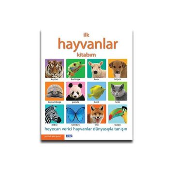 İLK KITABIM - HAYVANLAR - KOLEKTIF