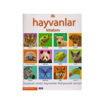İLK KITABIM - HAYVANLAR - KOLEKTIF