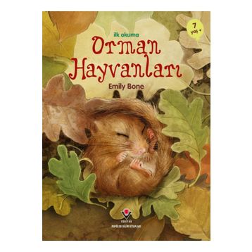 İlk Okuma Orman Hayvanları - Emily Bone