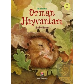 İlk Okuma Orman Hayvanları - Emily Bone