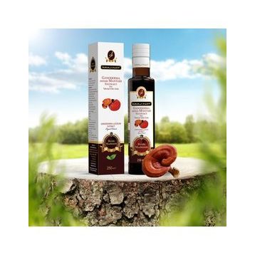 İmmunat 250 ml Reishi Mantar Ekstrakt