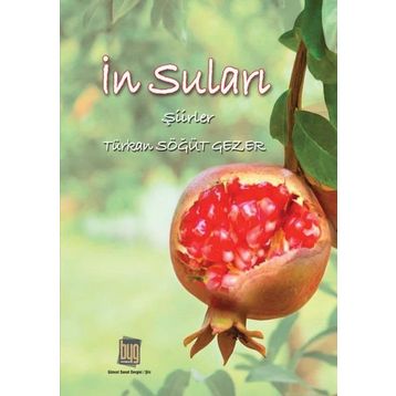 In Suları- Türkan Söğüt Gezer