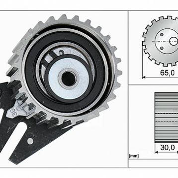 İna 531084410 Triger Gergi Rulmanı