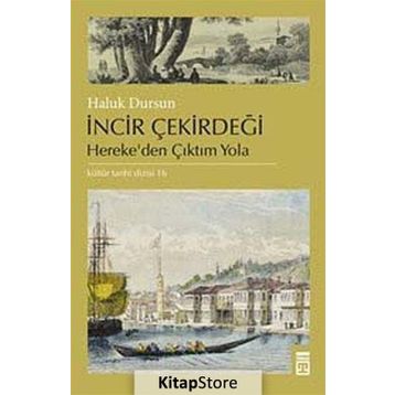 İncir Çekirdeği - A. Haluk Dursun