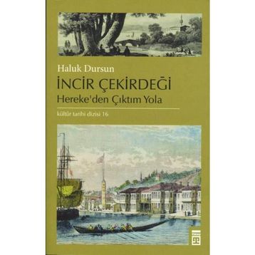 İncir Çekirdeği - A. Haluk Dursun