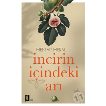 İncirin İçindeki Arı - Mehtap Aral