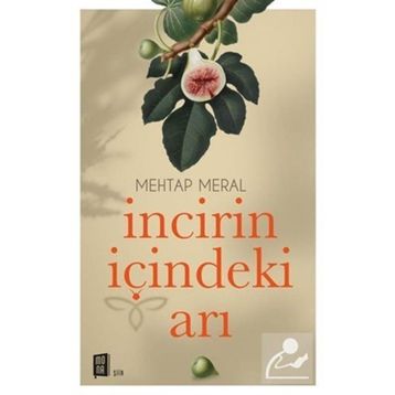 İncirin İçindeki Arı - Mehtap Aral