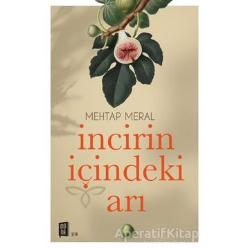 İncirin İçindeki Arı - Mehtap Aral