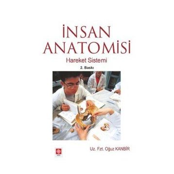 İNSAN ANATOMISI HAREKET SISTEMI - OĞUZ KAMBIR