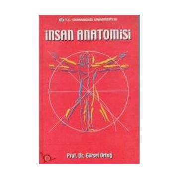 İnsan Anatomisi - Mehmet Yıldırım