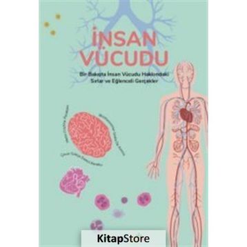 İnsan Vücudu - Cristina Peraboni