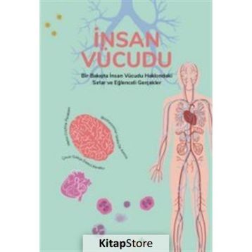 İnsan Vücudu - Cristina Peraboni