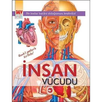 İnsan Vücudu - kollektif