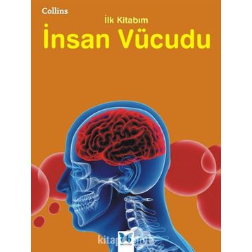 İnsan Vücudu - kollektif