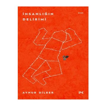 İnsanlığın Delirimi - Aynur Dilber