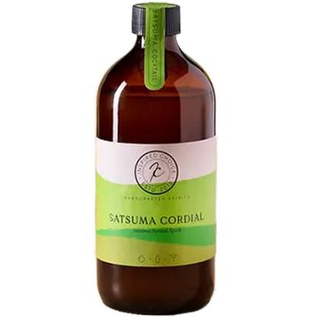 Inspired Choice 250 ml Satsuma Kokteyl Cordial