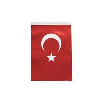 İnter B-007 80x120 cm Türk Bayrağı