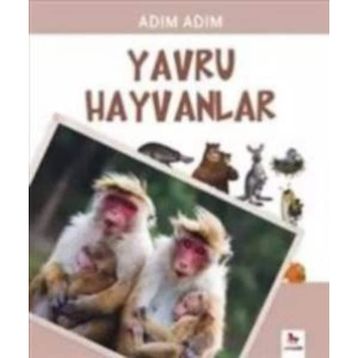 İpek Yolu Mutfağı - Sabrina Ghayour