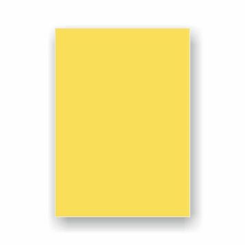 IQ 50x70 cm Kanarya Sarı Fon Kartonu