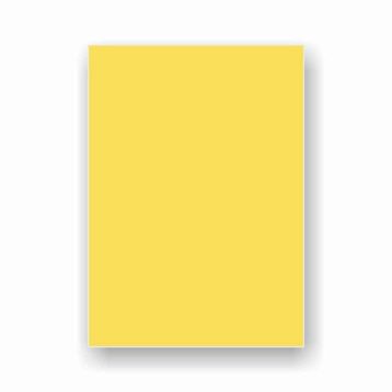 IQ 50x70 cm Kanarya Sarı Fon Kartonu