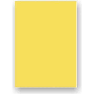 IQ 50x70 cm Kanarya Sarı Fon Kartonu