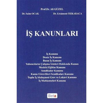 İş Kanunları - Remzi Özmen