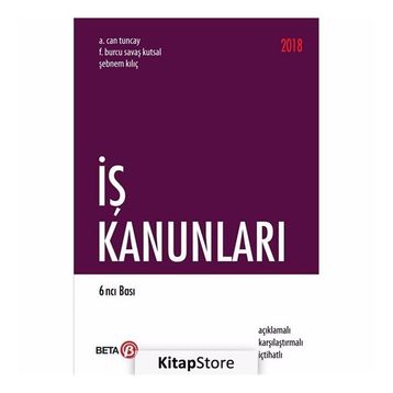 İş Kanunları - Remzi Özmen