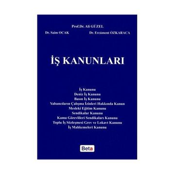 İş Kanunları - Remzi Özmen