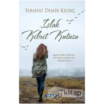 Islak Kibrit Kutusu - Sebahat Demir Kılınç