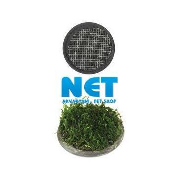 Ista 5 cm Yuvarlak Seramik Bitki Tabanı