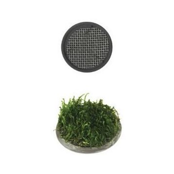 Ista 5 cm Yuvarlak Seramik Bitki Tabanı