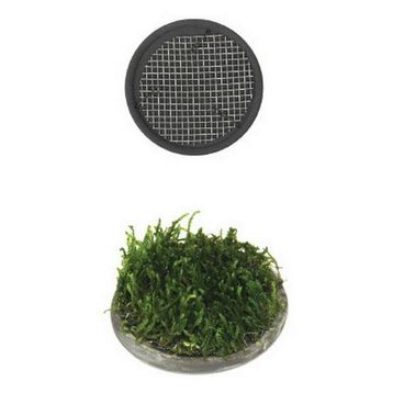Ista 5 cm Yuvarlak Seramik Bitki Tabanı