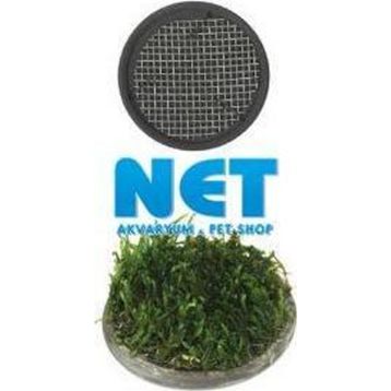 Ista 5 cm Yuvarlak Seramik Bitki Tabanı