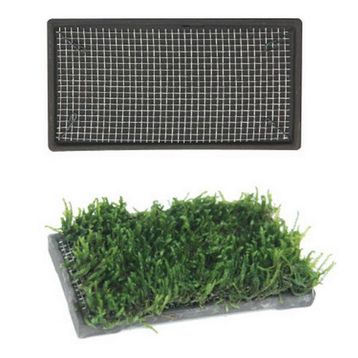 Ista 5x10 cm Dikdörtgen Bitki Taban Seramik