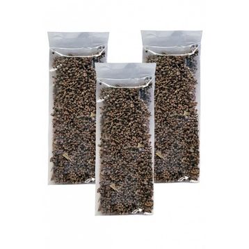 İstanbul Baharat 100 gr Hayt Tohumu (3 adet)