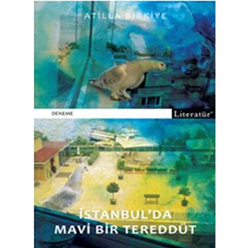 İstanbul'da Mavi Bir Tereddüt - Atilla Birkiye