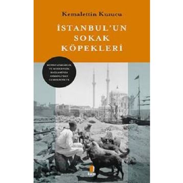 İstanbul'un Sokak Köpekleri - Kemalettin Kuzucu