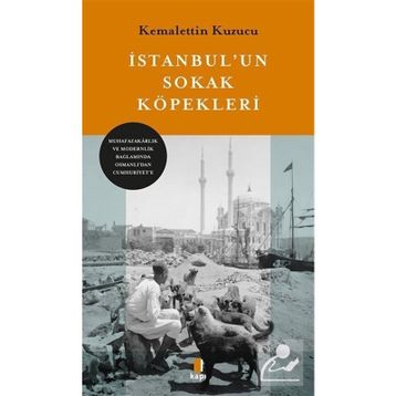 İstanbul'un Sokak Köpekleri - Kemalettin Kuzucu