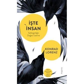 İşte İnsan