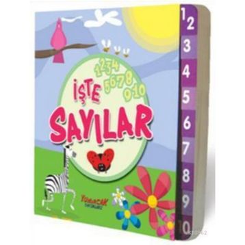 İŞTE SAYILAR - KOLEKTIF