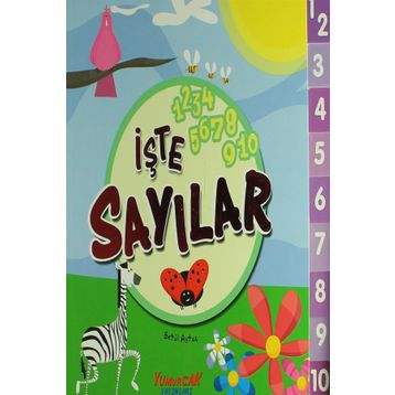 İŞTE SAYILAR - KOLEKTIF