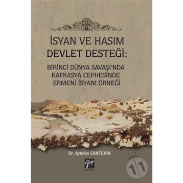 İsyan ve Hasım Devlet Desteği - Aytekin Cantekin