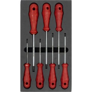 İzeltaş İzeltaş Delikli Torx Uçlu Tornavida Seti 7'li Tornavida