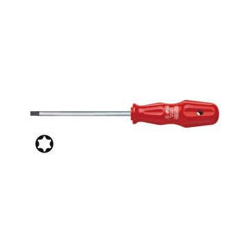 İzeltaş TR25 Delikli Torx Uçlu Tornavida