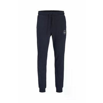 Jack & Jones 12165322 Gordan Shark Erkek Eşofman Altı