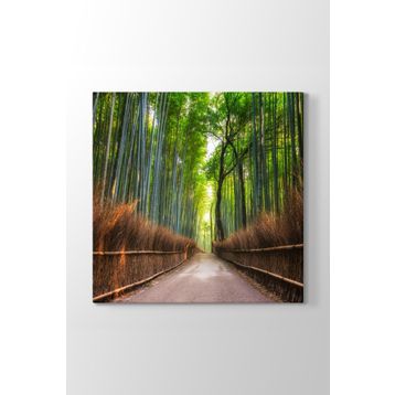 Japonya Bambu Tarlası Tablosu