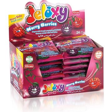Jelaxy 20 gr Salkım Böğürtlen (24 adet)