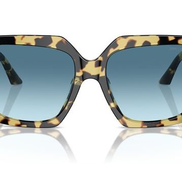 Jimmy Choo 0JC5006U 500419 55 Leopar Kadın Güneş Gözlüğü