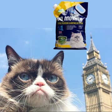 Jo Moyner Ultimate Aktif Karbonlu 7 lt Topaklanan Kedi Kumu