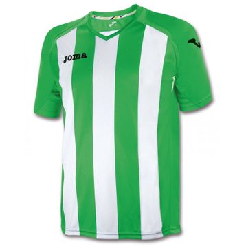 Joma 1202.98.016 Yeşil Pisa Erkek Futbol Forması